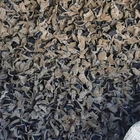 Factory Price Fresh White-backed Black Fungus/Agaric Mushroom Export Price