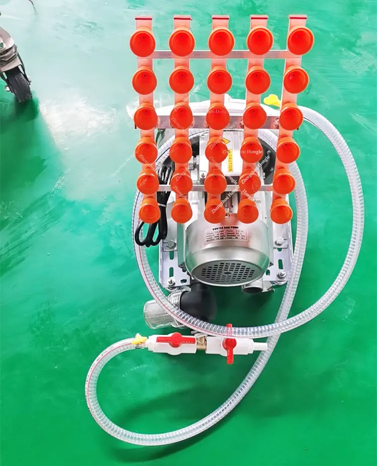 Professional Industrial Egg Transfer Vacuum Lifter 54 Egg Suction Machine factory