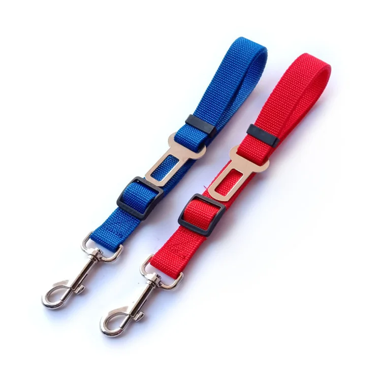 dog leash PCL0220.jpg