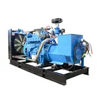 Gas Generator Natural Gas Generator Customized CE Gas Generator 2mw Natural For Sale