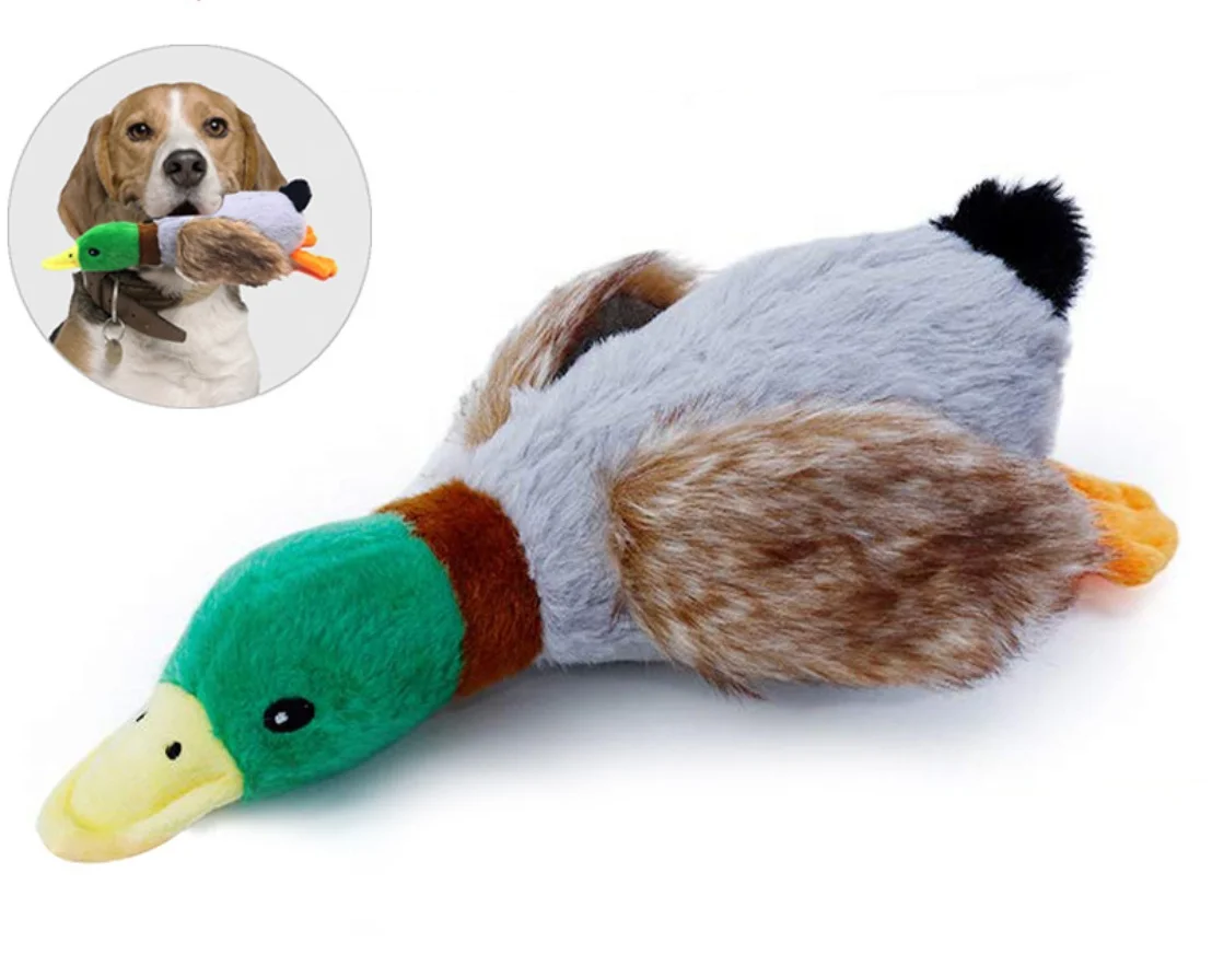 big duck dog toy