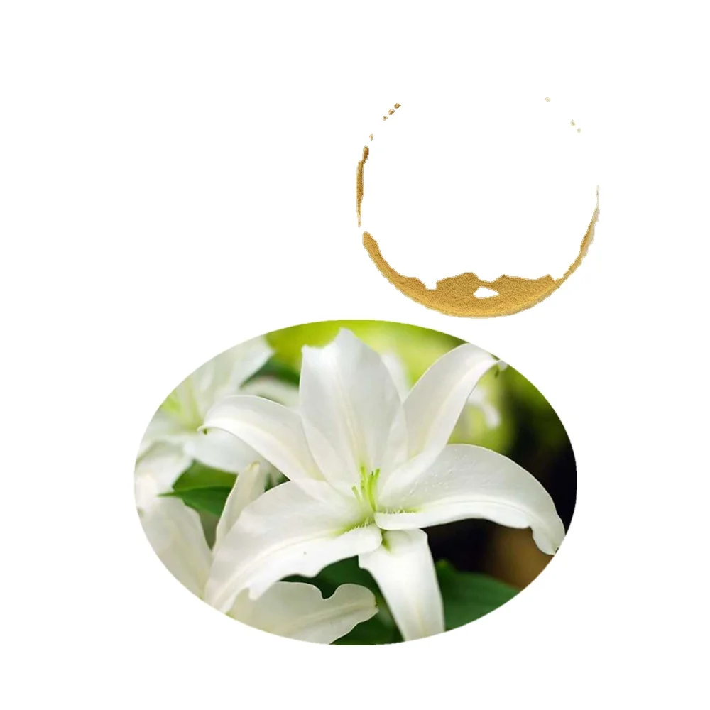 rongsheng north america inc supplier
