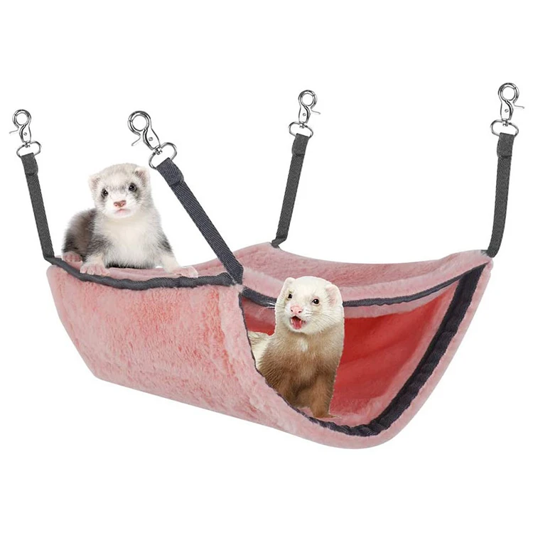 ferrets in hammocks