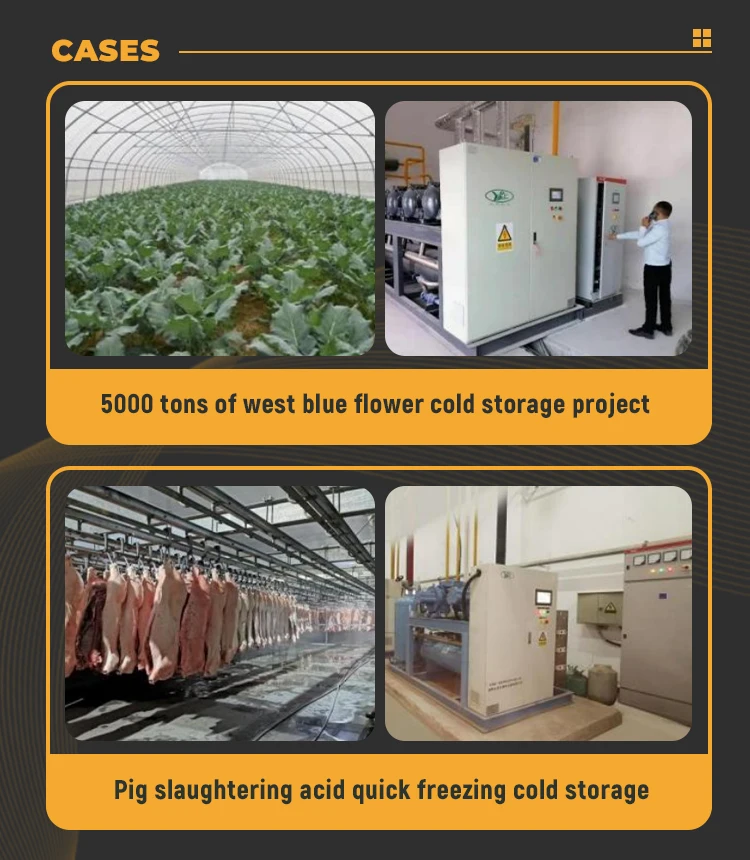 Blast Freezer, DJ650, 220 V, Electric - detail 16