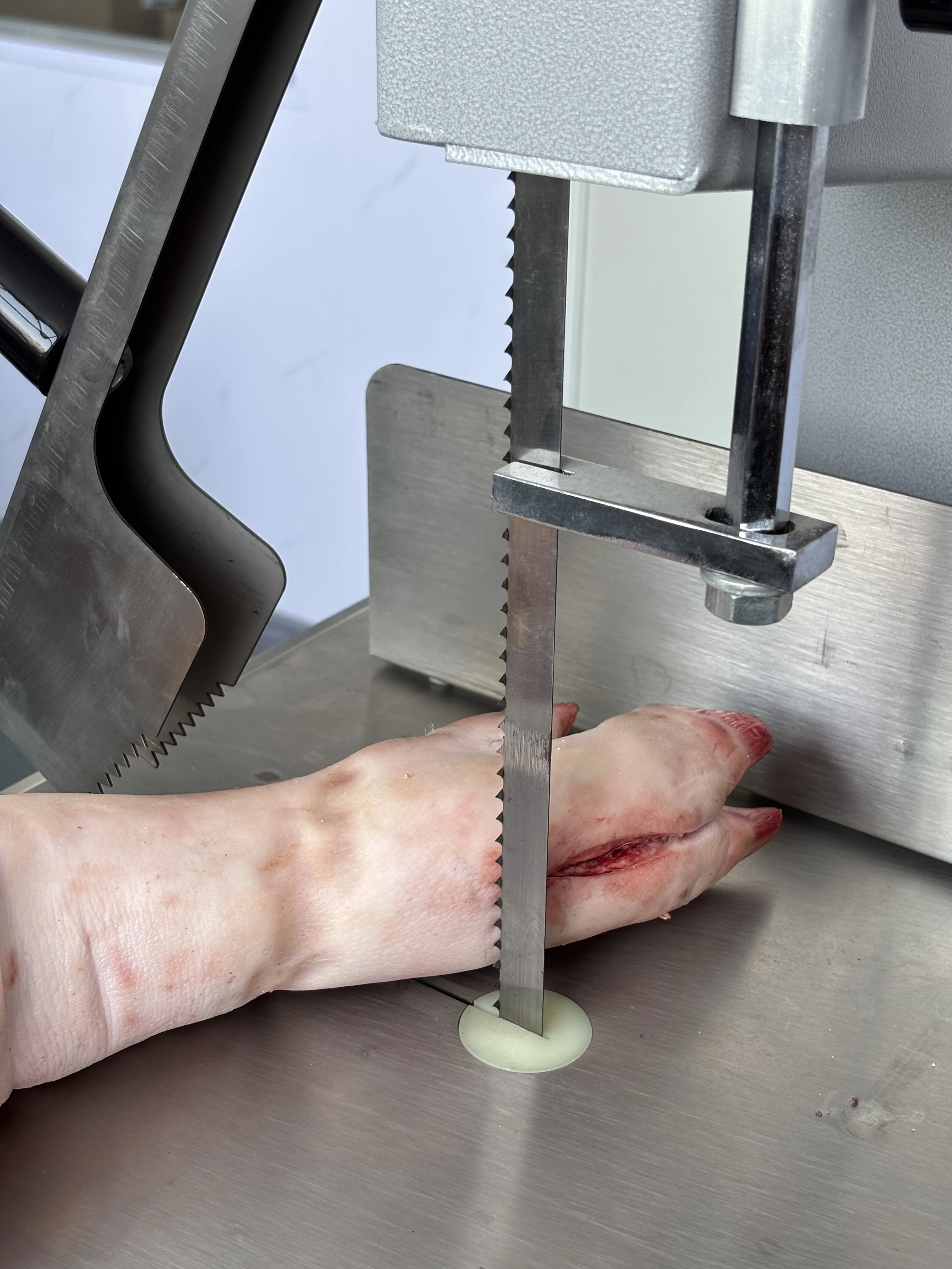 product jkb 120 electric butchers bone saw machine 2025s most popular new condition chicken cutter on sale-3