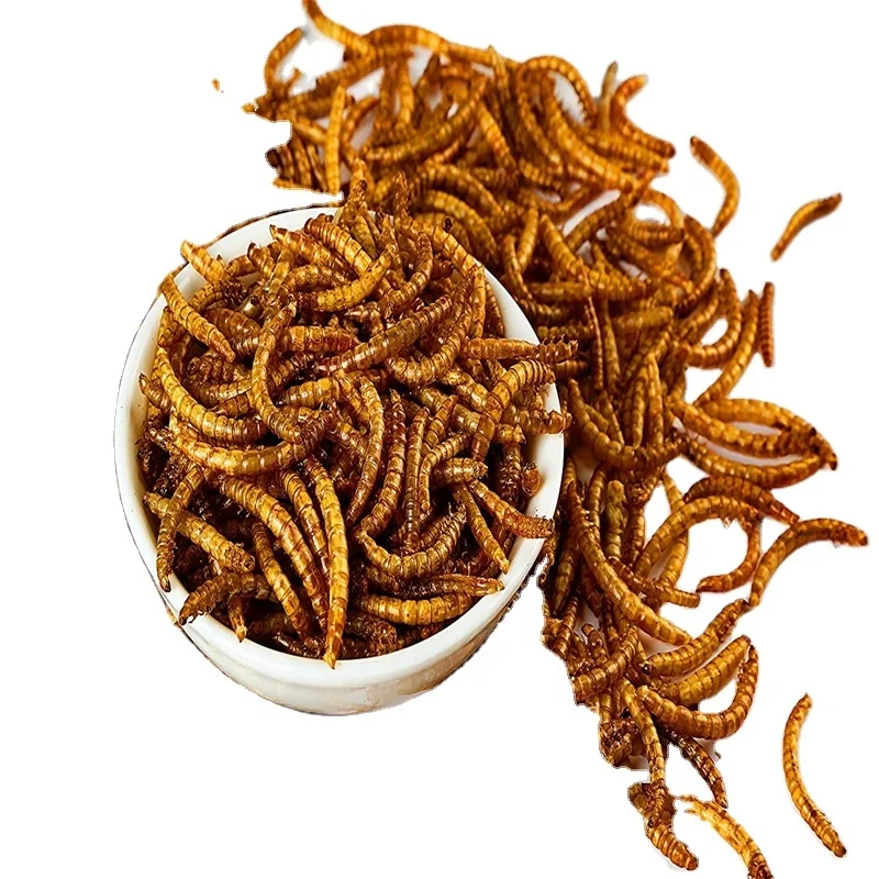 20kg mealworms