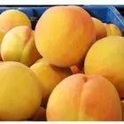Slice Pear Canned Pear 425g Canned Peach Slice In Pear Juice