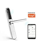 Lock Door With Spain Water Proof Lock Tuya Lock Wood Main Gate Door Lock With Key