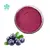 High Quality Water Soluble wild blueberry powder blueberry juice powder