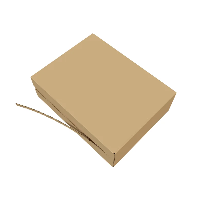 product digital printing corrugated kraft paper mailer boxes with tear zipper-3