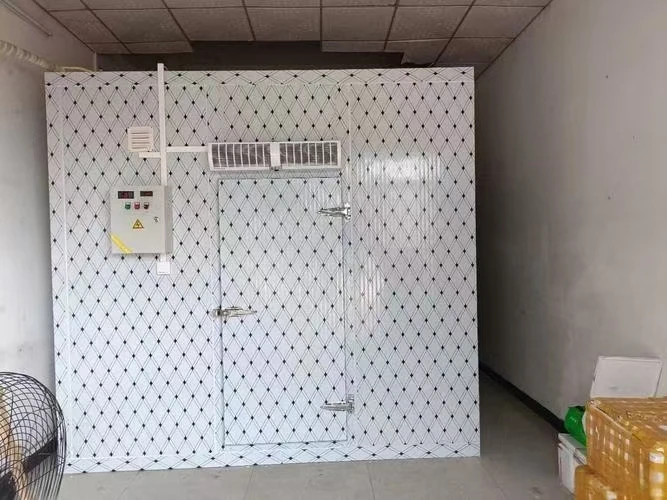 Sell Well Walk-in Freezer, Aluminum Alloy, Cold Storage Door - detail 8