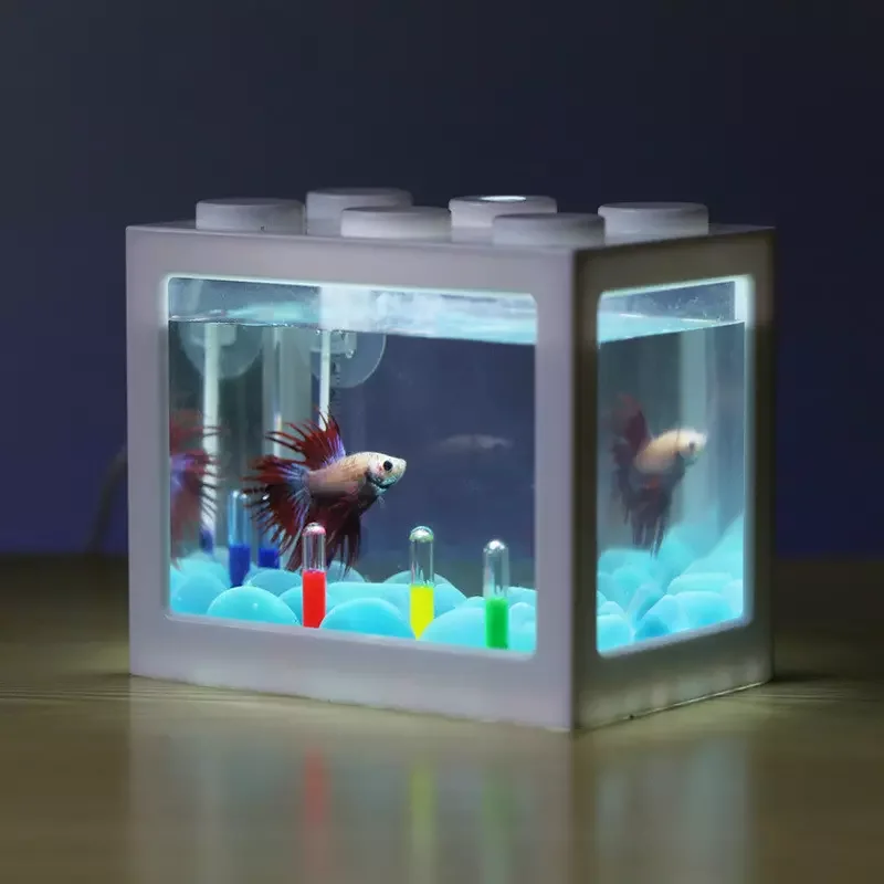 FISH TANK (3).jpg