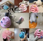 Cat Toy Cat Toy Roller 4-Level Turntable Cat Toy Balls Interactive Cat Track Toy