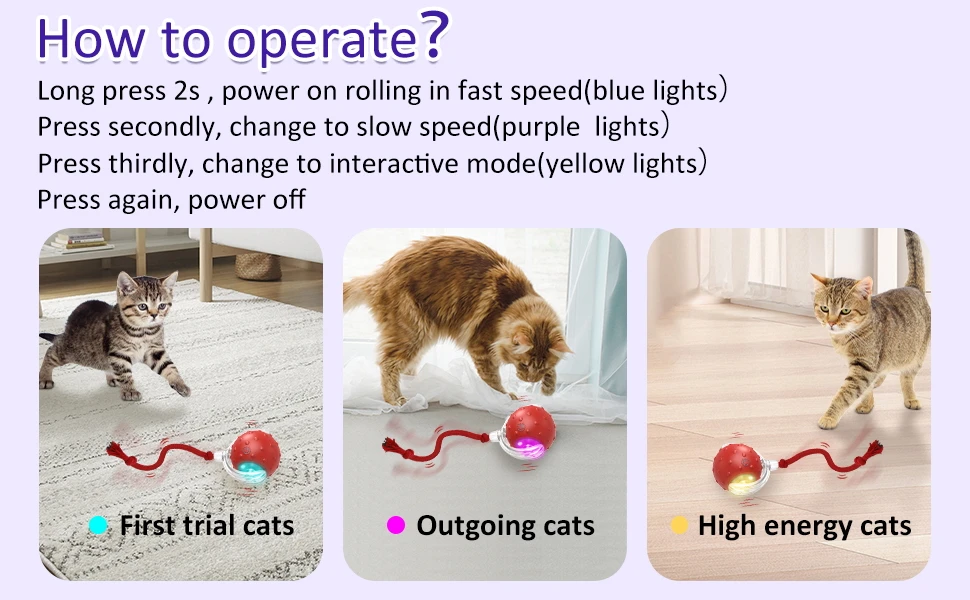 cat toys interactive