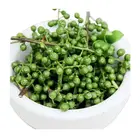 Powder Green Pepper Hot Selling Natural Powder Ground Green Sichuan Pepper