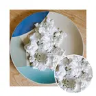Offer Chloride Factory Offer Anhydrate Caclium Price Calcium Chloride Anhydrous