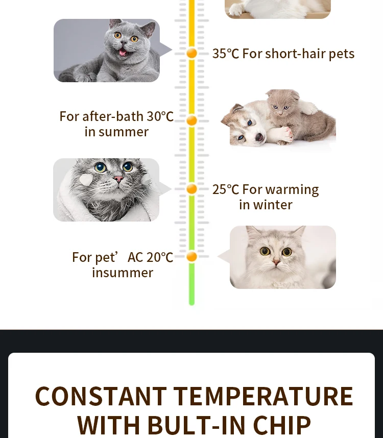 G7-S Hot Sale New Design Cat and Dog Hair Dryer Cabinet Small Pet Dryer Machine Pet Blower China Factory Direct Supplier