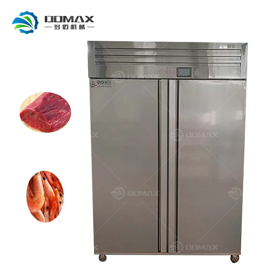 Thawing Equipment, 220v, 3.5kw - detail 6