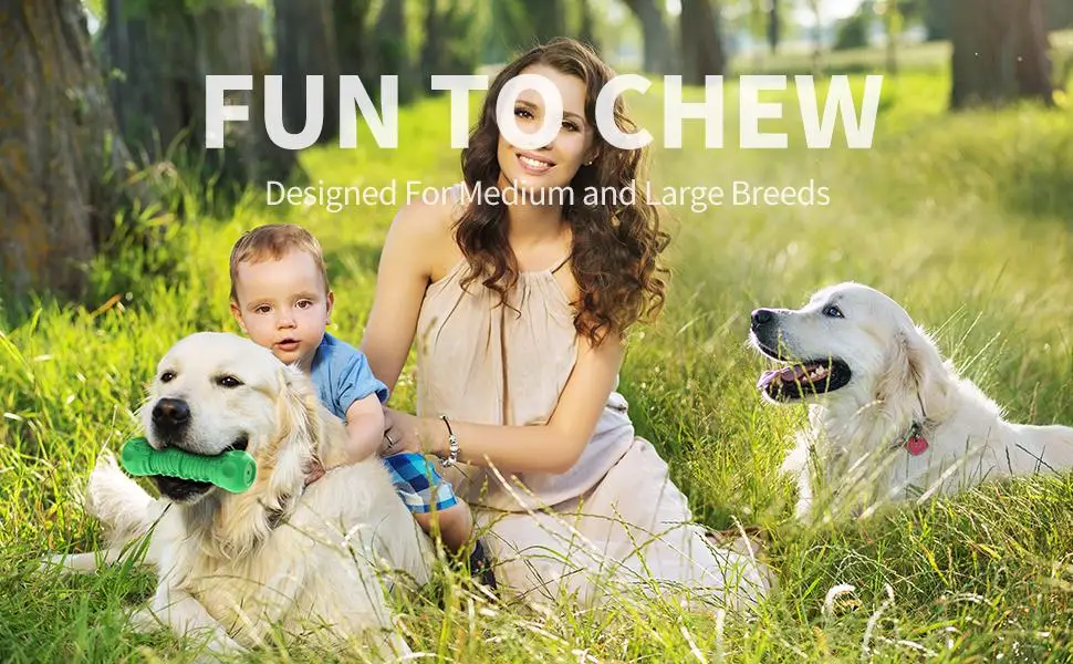 Interactive dog toys guaranteed can help you establish a deep interactive relationship with your pet