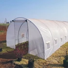 Price Tunnel Plastic Tunnel Greenhouse China-made Reasonable Price High Tunnel Plastic Film Greenhouse
