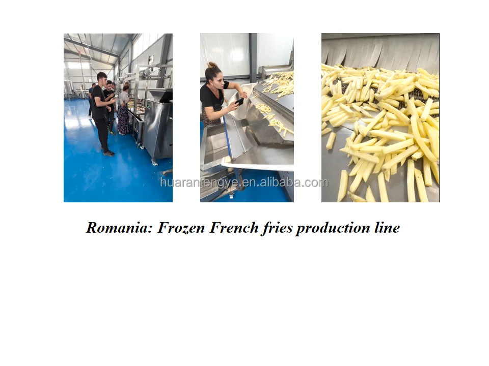 Spiral Fluidized Quick Freezer, 220 V - detail 34