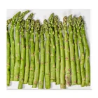 Seeds Different Types F1 Hybrid Asparagus Seeds For Growing With High Yield