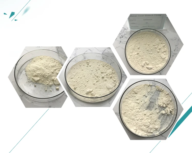 Insen Supply Cosmetic Grade Purity 5% 10% Rice Bran Extract Ceramide 3