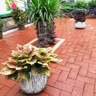 Round Clay Pots Outdoor Garden Pot Factory Round Clay Cheap Small Concrete Indoor Outdoor Flower Garden Pots