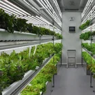 Plant Container 40 HQ Plant Factory Planting Container Farm Container Farm