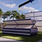Foldable House Custom Made Easy Installation 40 Ft Foldable Prefab Homes Container Houses With Low Price