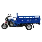 Tricycle For Cargo 3 Wheel Motorcycle Tricycles 150cc 250cc 300cc Gasoline Cargo Tricycle For Sale