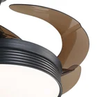 Energy Saving Led Fan And Light Energy Saving Motor Multi Function Led Remote Control Ceiling Fan Light