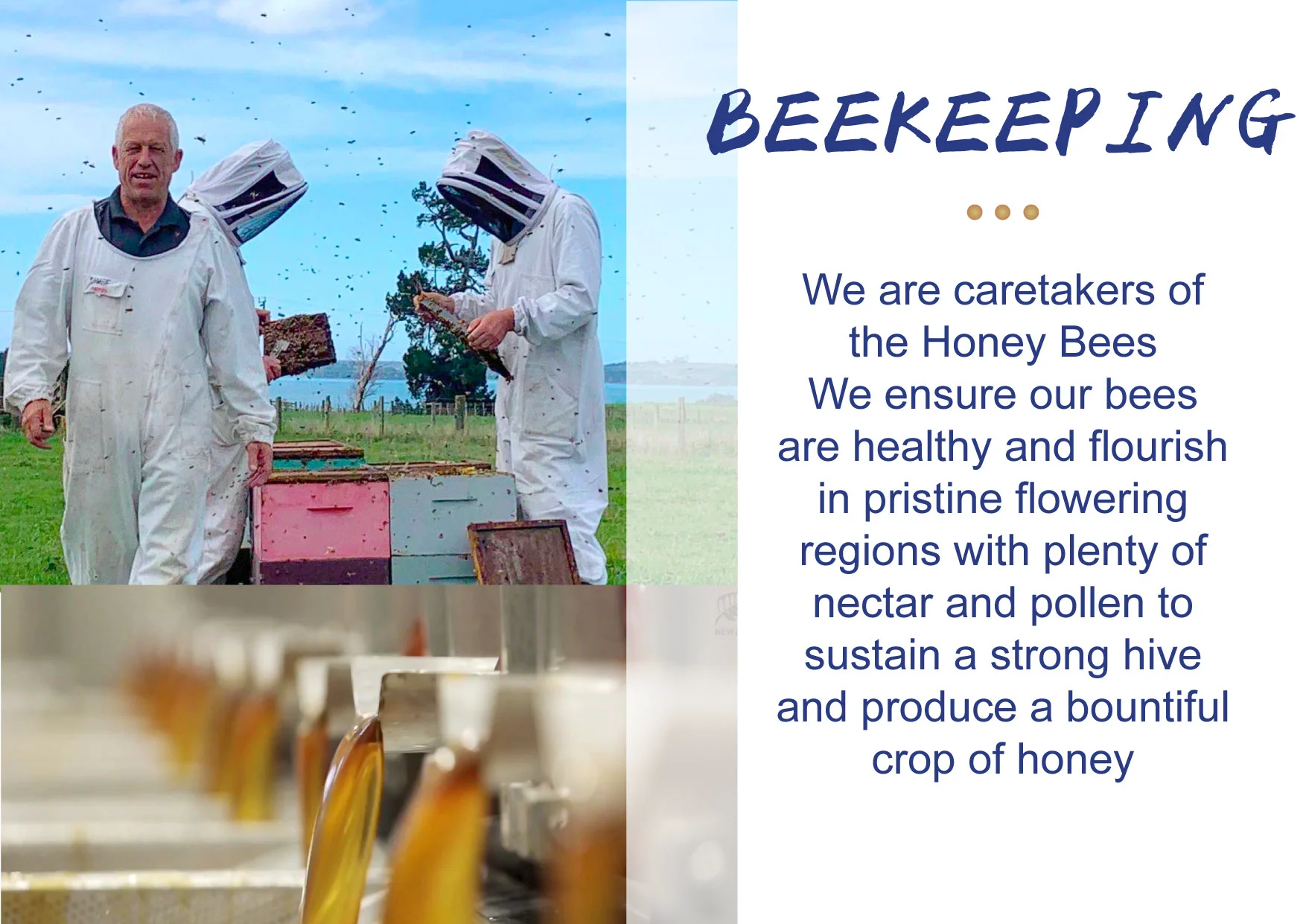 For Sale New Zealand Manuka Honey 250g UMF5+ 100% Natural Bee Honey MGO100+ Pure Raw Honey 7