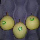 Pear Pear New Season Green Shandong Pear Fresh Pear Ya Pear