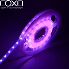 Rgb Rgb Led Strip 5050 Multicolor Changeable 12V DC ROHS BIS EMC LVD Tira 3 Years Waterproof Rgb Led Strip Flexible