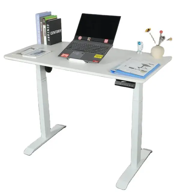 High Quality Modern Memory Sit Stand Desk Electric Adjustable Lifting Desk Gaming Table  Ergonomic Electric Sit Stand Desk