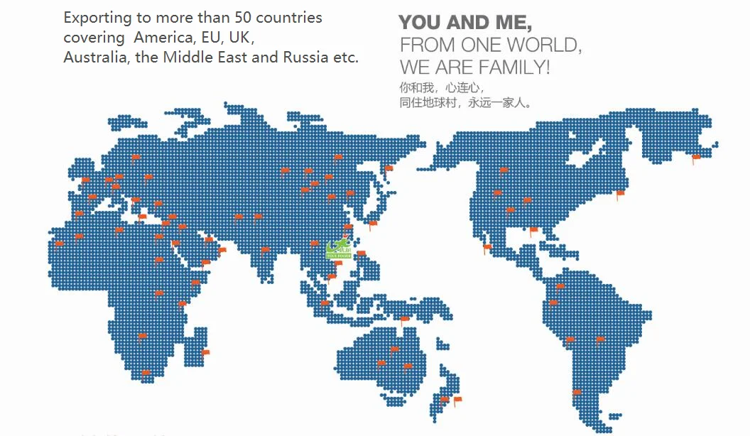 International Market Map.png