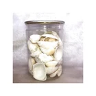 Shell Hot Sale 100%Natural Seashell Crushed Sea Shell For Home Furnishing