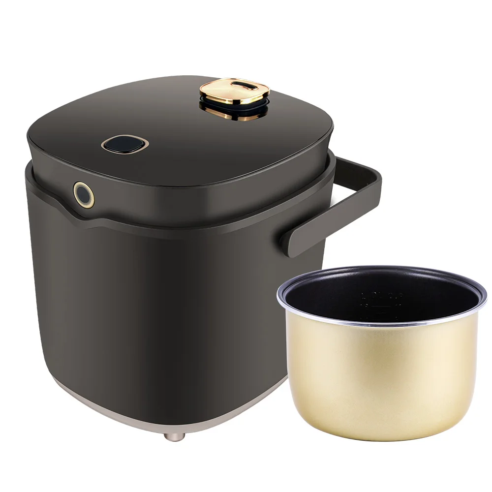 iona mini cooker