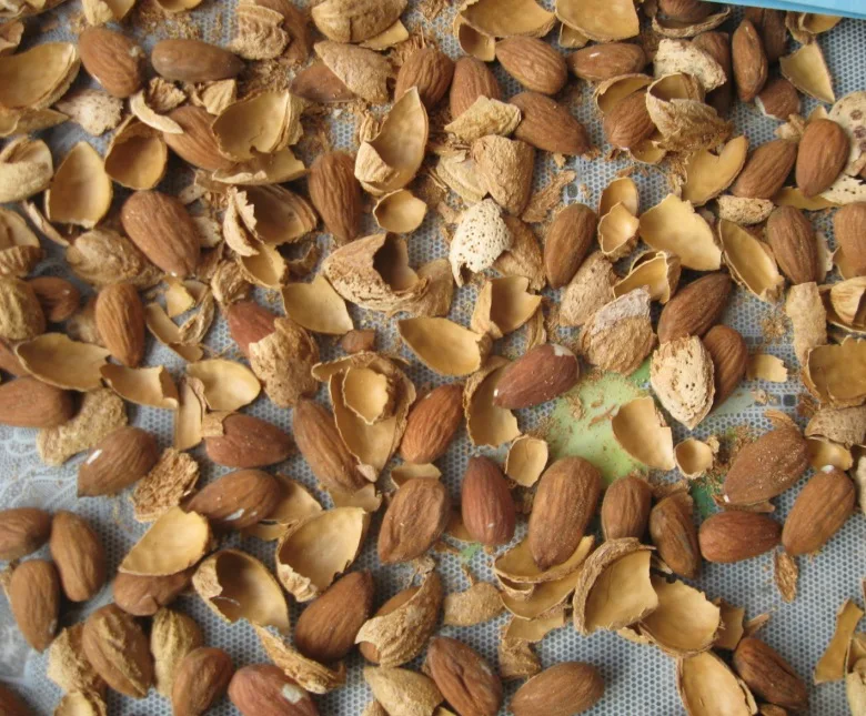 High Quality Palm Nut Kennel Shell Crackers and Separator Machine details