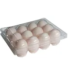 Packaging 30 Egg Clamshell Packaging 30 Egg Tray Plastic Tray/box Supplier