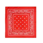 Scarf Fashion Girls Neckchief Customized Hankerchief China Factory BSCI SEDEX Audit Cotton Printed Scarf