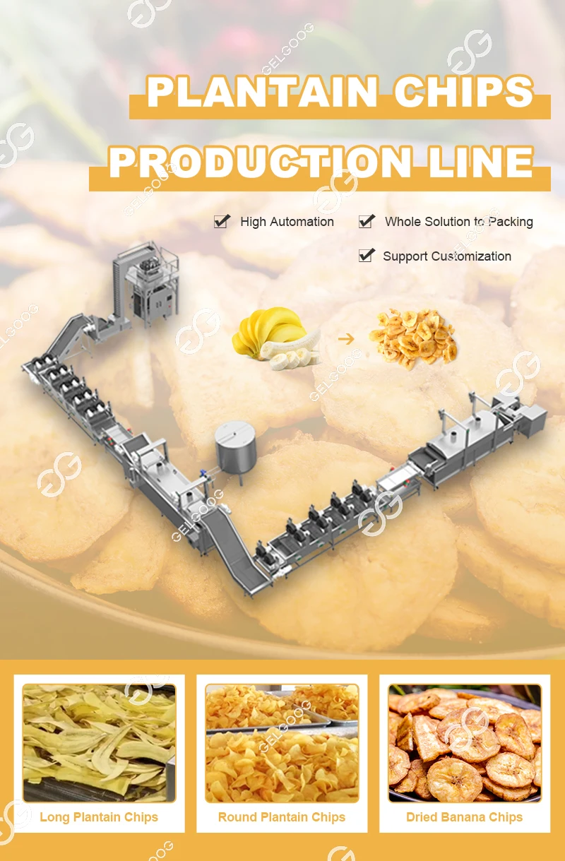 Gelgoog Apple Plantains Chips Making Machinery Production Line Semi