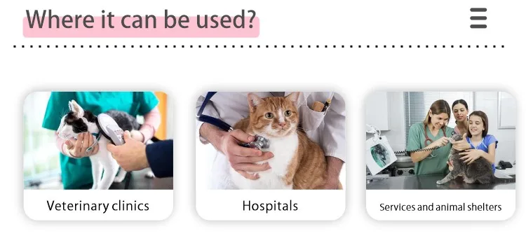 Discover Affordable Solutions with Cheap Pet Medical Insurance