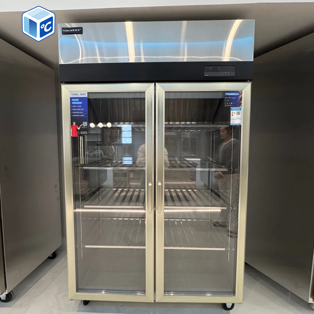 Saving Stainless Steel Freezer, 220 V - detail 34