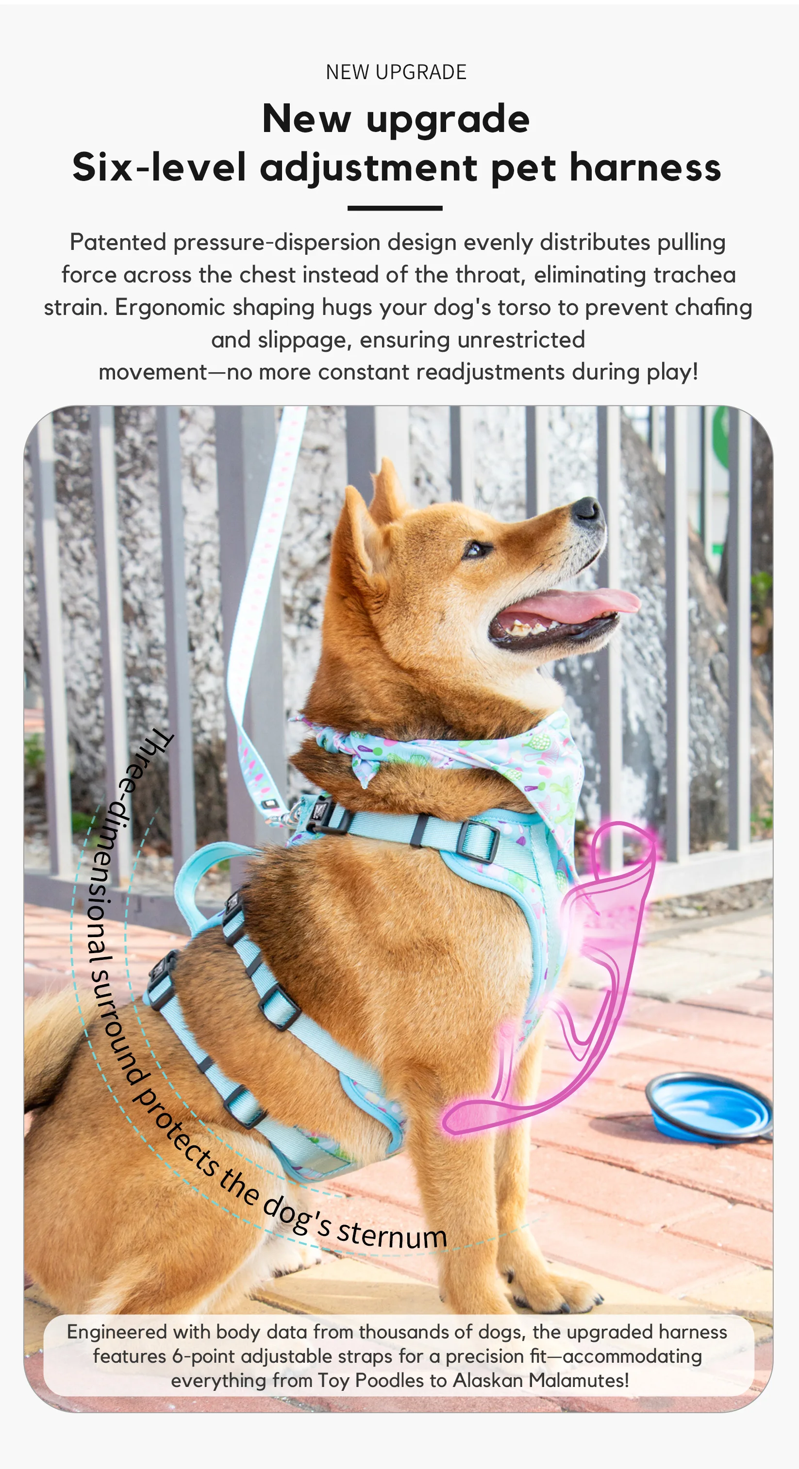 Kingspeed New Upgraded Tarrow Dog Vest Puppy Harness With Colorful Printing Dog Harness Hot Sell Pet Vest
