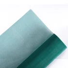 Window Door 18*14 85g Fiberglass Insect Screening Plain Weave Window Screening For Window And Door
