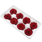 Rose Roses Roses Factory Direct Sale Preserved Flower A Rose Head 4-5cm High Quanlity Rose Flower Preserved Roses Head