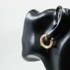 Sterling Silver 925 Silver Hoop Earring 925 Sterling Silver Gold Plated Zircon Cz Paved Women Huggie Hoop Earrings