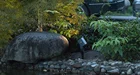 Light Factory Supply Attractive Price 10W Aluminum Waterproof Landscape Led Spot Garden Spike Light